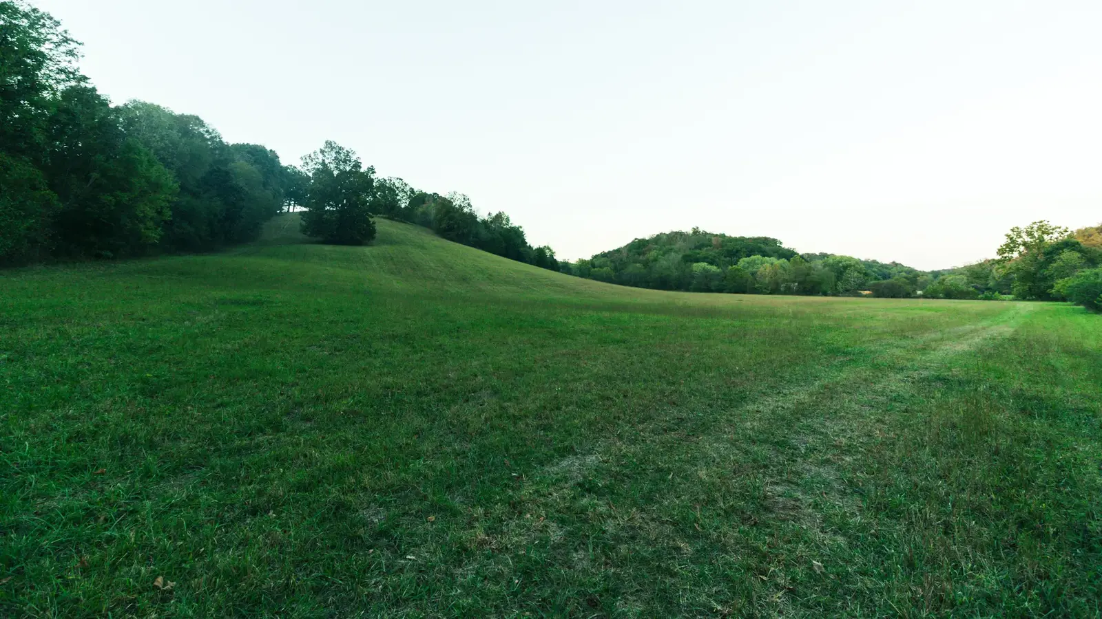 Rolling green hillside on the property